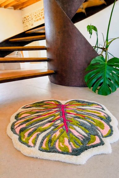 Monstera